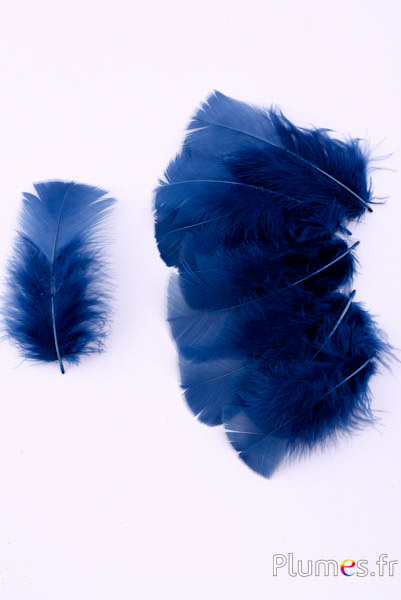 Dinde - 6-8 cm - bleu nuit